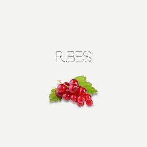 Ribes prodotti di Frais Monde